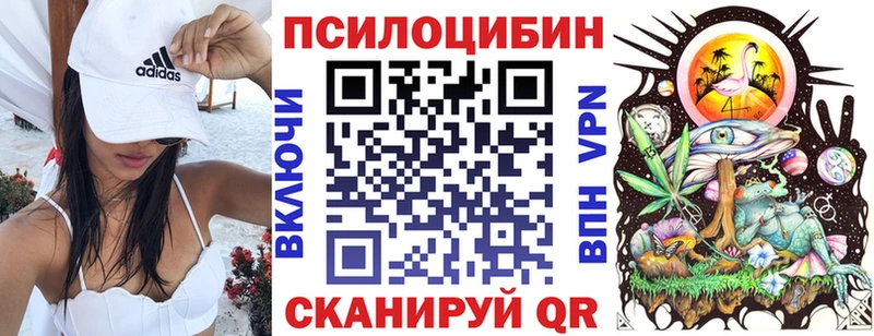 Галлюциногенные грибы мицелий  Купить где  Карабаш 